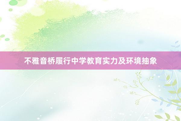 不雅音桥履行中学教育实力及环境抽象